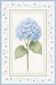Image Not Available